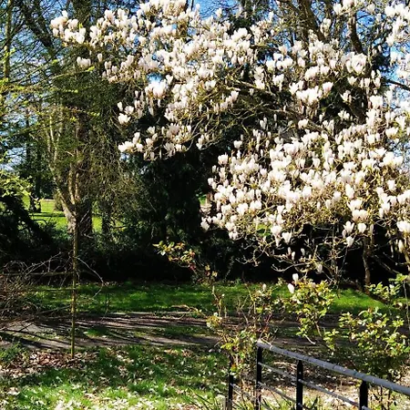 L'ecureuil Gourmand, D'hotes En Anjou Bleu Bed & Breakfast 3*