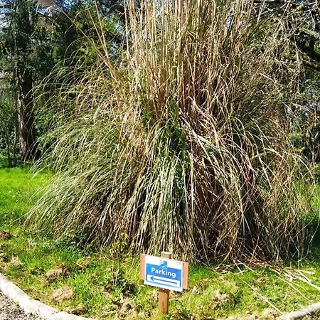 L'ecureuil Gourmand, D'hotes En Anjou Bleu Saint-Martin-du-Bois